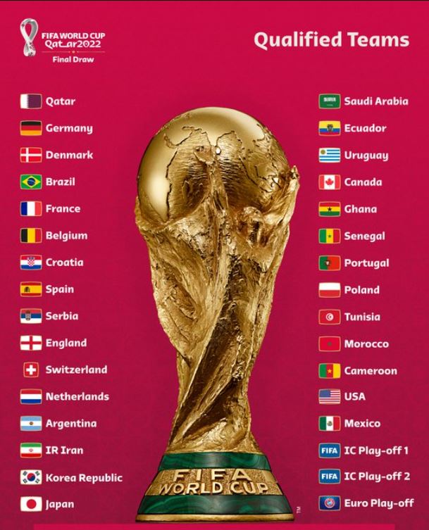 Quelle chaîne diffuse la Coupe du Monde 2022 ?