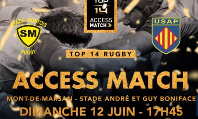 Mont-de-Marsan / Perpignan (TV/Streaming) Sur quelle chaine suivre l' Access-match au Top 14 ce dimanche ?