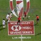 Rugby à 7 - Tournoi de Los Angeles 2022 (TV/Streaming) Sur quelle chaine suivre le Sevens Series samedi 27 août ?