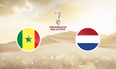Coupe du Monde 2022 - Sénégal / Pays-Bas (TV/Streaming) Sur quelle chaine et à quelle heure suivre le match ?