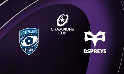 Montpellier / Ospreys (TV/Streaming) Sur quelle chaîne et à quelle heure suivre le match de Champions Cup ?
