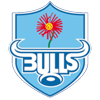 Bulls (Rugby XV)