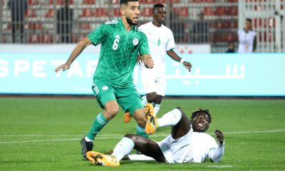 Algérie / Libye (TV/Streaming) Sur quelles chaînes et à quelle heure regarder le Championnat d’Afrique des Nations ?