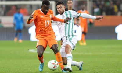 Algérie / Niger (TV/Streaming) Sur quelle chaîne et à quelle heure regarder la 1/2 Finale du Championnat d'Afrique des Nations ?