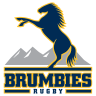 Brumbies (Rugby XV)