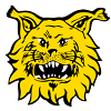 Ilves Tampere (Hockey)