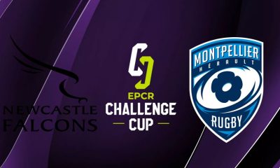 Newcastle Falcons / Montpellier (TV/Streaming) Sur quelle chaine et à quelle heure regarder le match de Challenge Cup ?