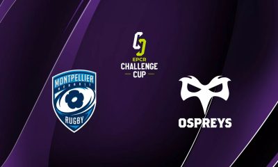 Montpellier / Ospreys (TV/Streaming) Sur quelles chaines et à quelle heure regarder le match de Challenge Cup ?