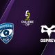 Montpellier / Ospreys (TV/Streaming) Sur quelles chaines et à quelle heure regarder le match de Challenge Cup ?