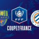 Feignies-Aulnoye / Montpellier - Coupe de France (TV/Streaming) Sur quelles chaines et à quelle heure suivre le 1/16e de Finale ?