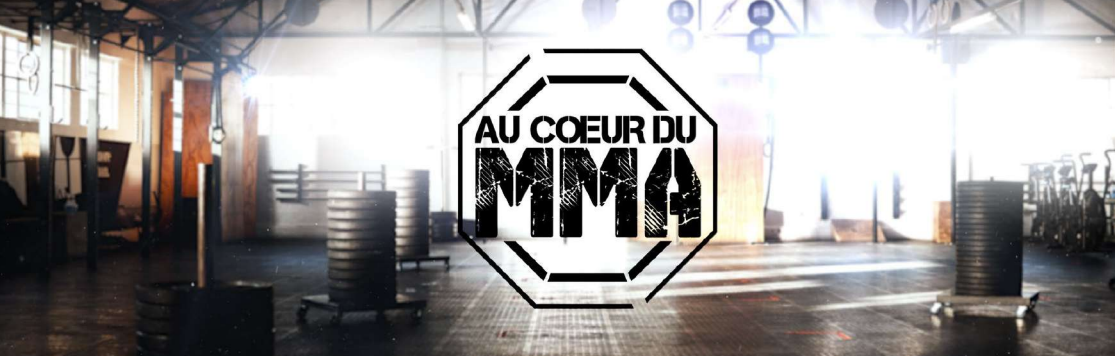"Au cœur du MMA" la série documentaire inédite à découvrir ce soir sur NRJ12